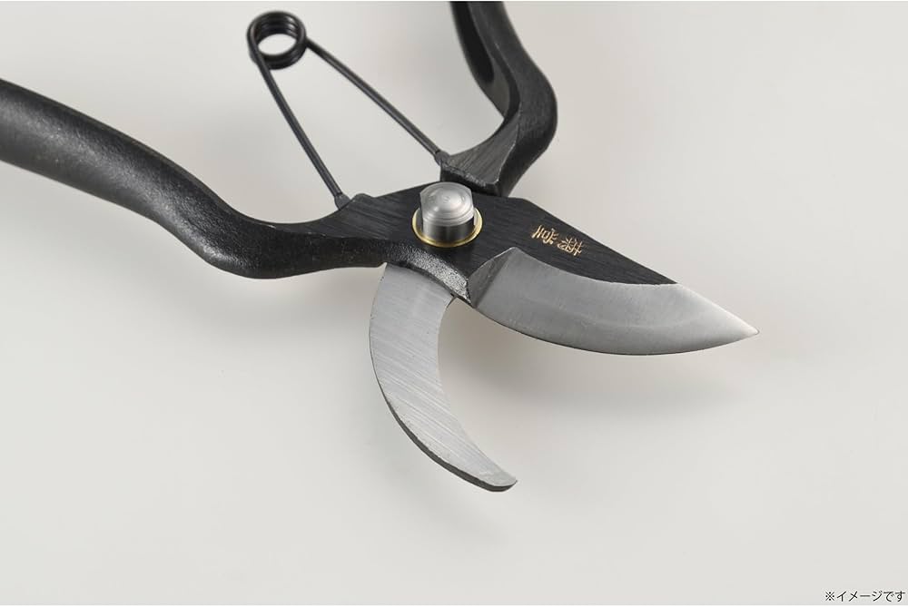 Amazon | 高儀(Takagi) 菊堂 本鍛造 剪定鋏 200mm 日本製 刃研ぎ