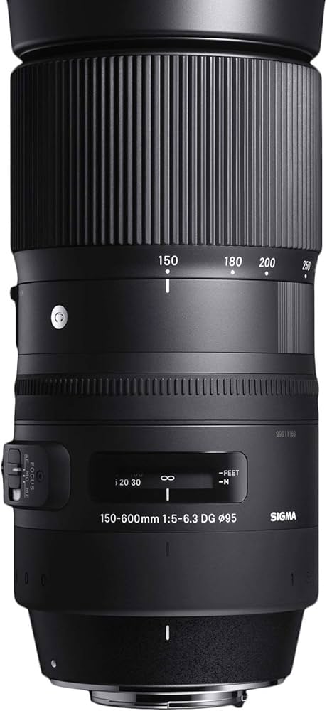 Amazon.co.jp: シグマ(Sigma) レンズ 150-600mm F5-6.3 DG OS HSM