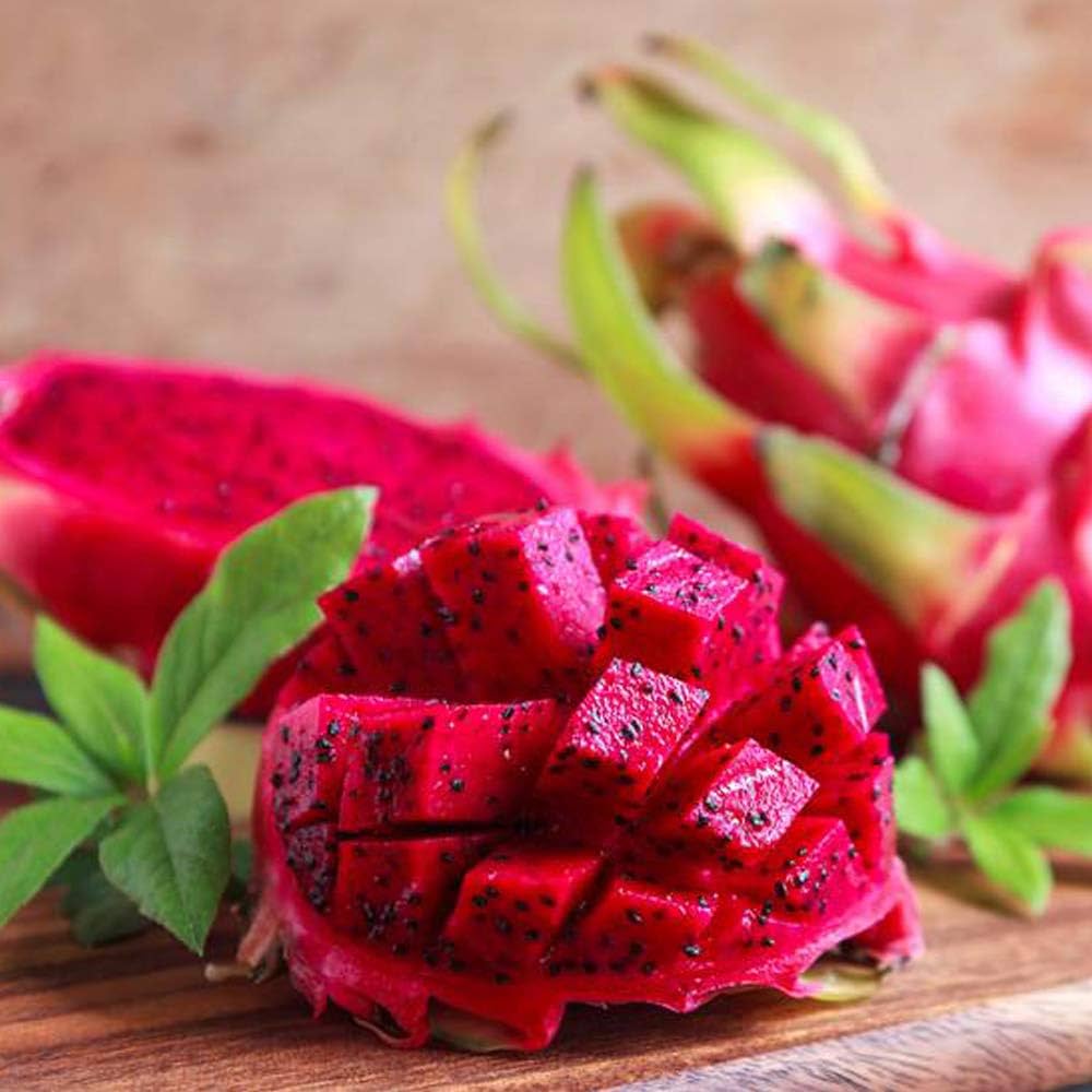 Amazon.co.jp: ドラゴンフルーツ 赤肉＆白肉 各1個【果樹苗 10.5cm