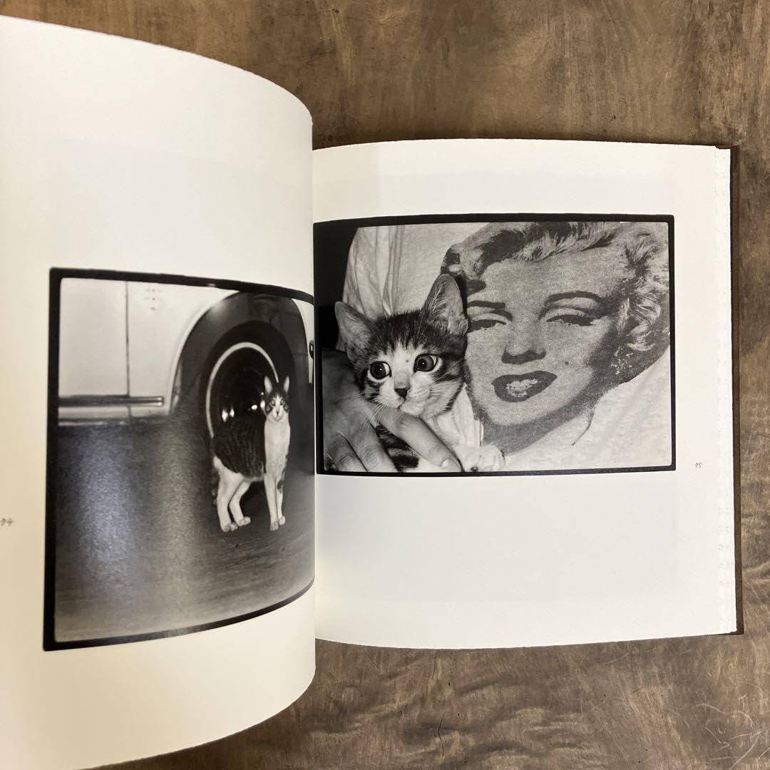 Amazon.co.jp: 深瀬昌久 afterword 初版本 サスケ日誌付き 1st edition