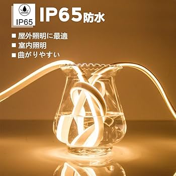 Amazon.co.jp: LEDテープライト 5M RGB 100V EL蛍光チューブ管 高輝度