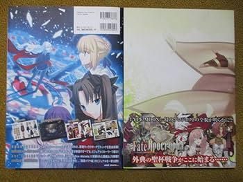 Amazon.co.jp: Fate complete material IV アレ本 収納箱付き : ホーム