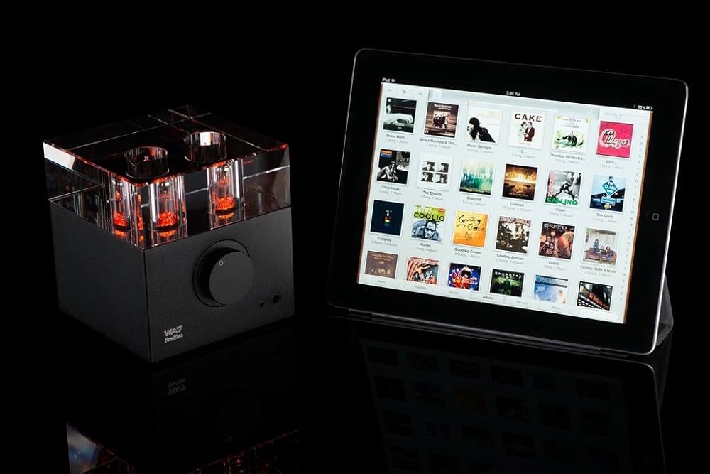 Amazon.co.jp: Woo Audio WA7 Fireflies (第2世代) ヘッドホンアンプ