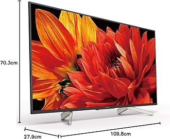 Amazon.co.jp: ソニー 49V型 液晶 テレビ ブラビア KJ-49X8500G 4K