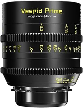 Amazon.com : DZOFILM Vespid Prime 35mm T2.1 Cinema Lens for PL