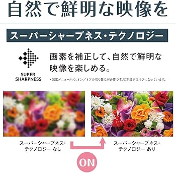 Amazon.co.jp: 日本エイサー モニター ディスプレイ OmegaLine