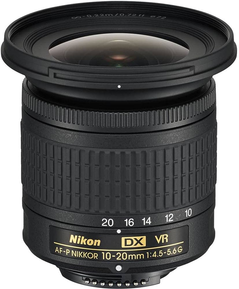 Amazon.co.jp: NIKON AF-P DX NIKKOR 10-20mm f/4.5-5.6G VR 広角