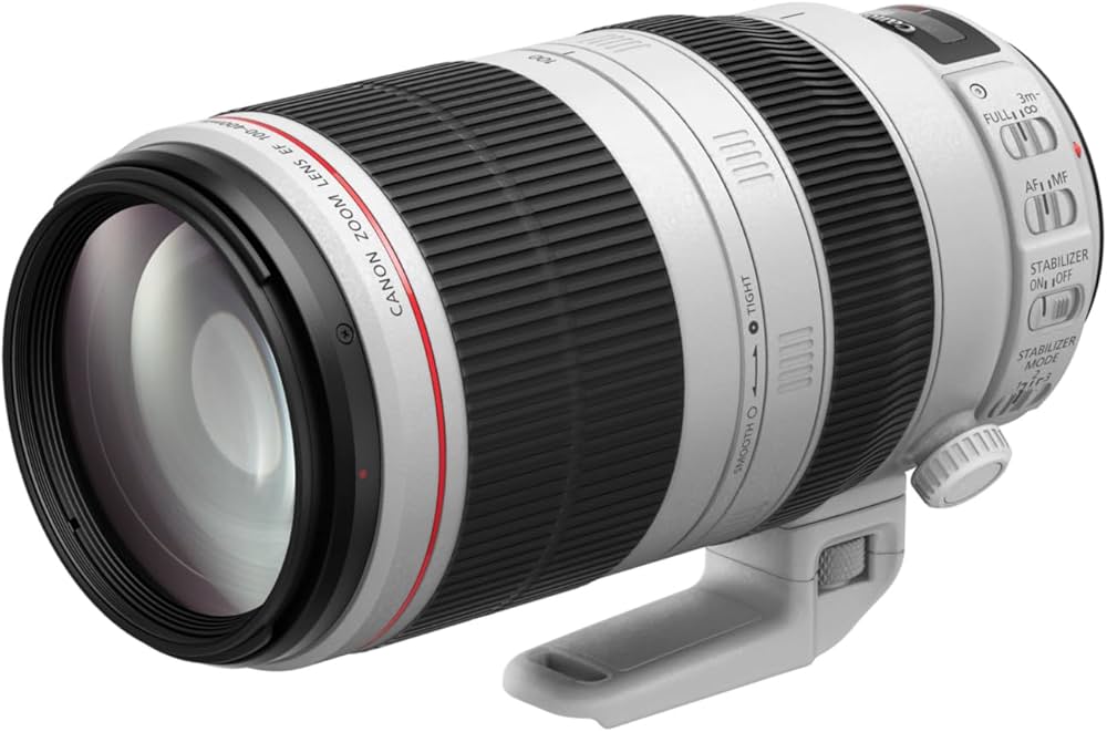 Amazon.co.jp: EF100-400mm F4.5-5.6L IS II USM : 家電＆カメラ