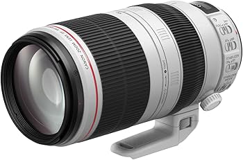 Amazon.co.jp: Canon EF 100-400mm f/4.5-5.6L IS II USM : Electronics