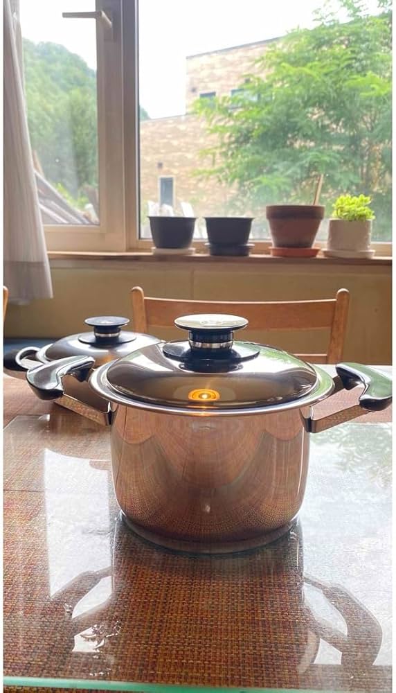 Amazon | AMC ドイツ製フィスラーステンレス両手鍋 (蓋付き) | ノー