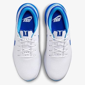 Amazon.co.jp: NIKE ナイキ 29.5cm エア ズーム ビクトリー ツアー 3