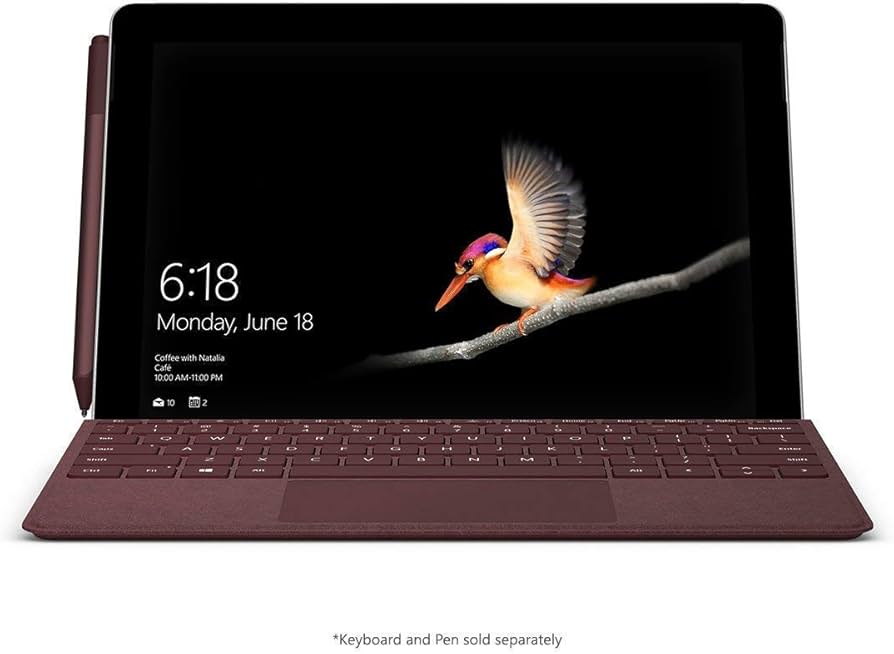Amazon.com: Microsoft Surface Go (Intel Pentium Gold, 8GB RAM