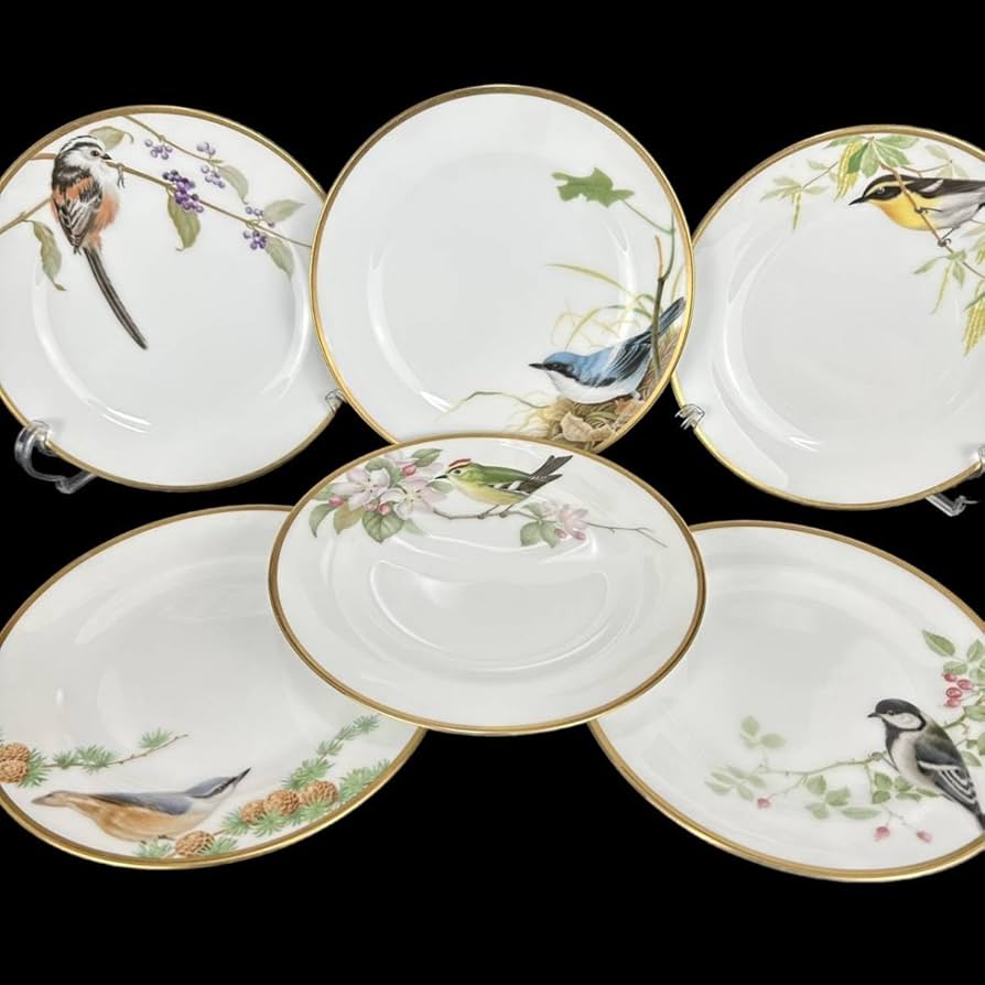 Amazon.co.jp: 大倉陶園 野鳥シリーズ プレート 6枚セット ケーキ皿