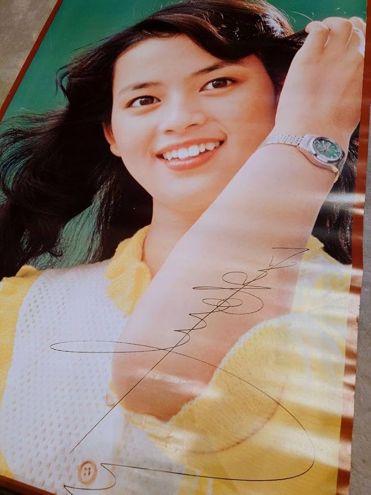 Amazon.co.jp: 昭和のアイドル 岡田奈々 ポスター A1サイズ : おもちゃ