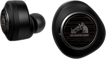 Amazon.co.jp: JVCケンウッド Victor HA-FW1000T ワイヤレスイヤホン