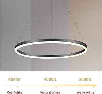 Amazon.co.jp: シングルリング LED ペンダントライト 北欧モダン