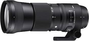 Amazon.co.jp: シグマ(Sigma) レンズ 150-600mm F5-6.3 DG OS HSM