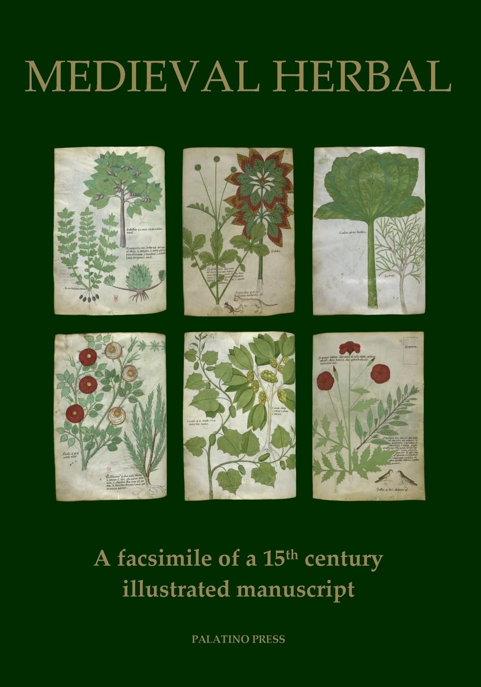 Medieval Herbal: A facsimile of a 15th century illustrated