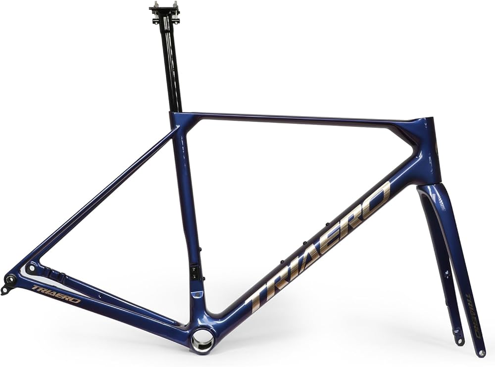 Amazon | ICAN Flyee カーボンディスク ロードバイク フレームセット