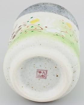 61wPaqZ+6GL._AC_UF350,