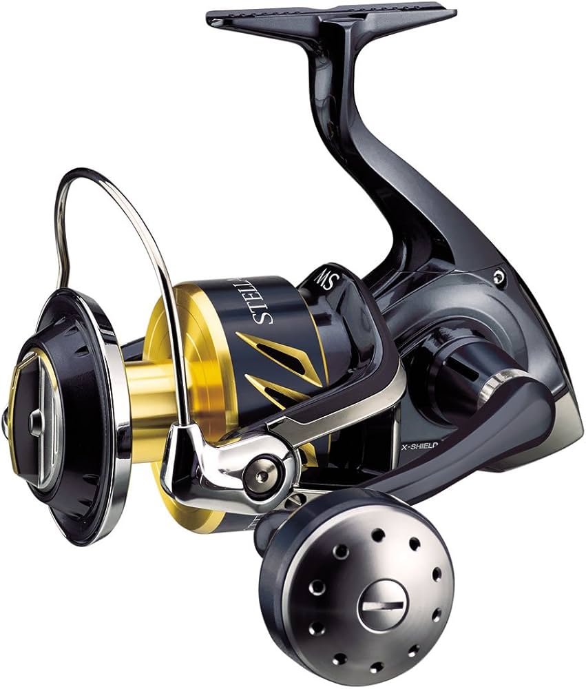Amazon | SHIMANO Stella SW スピニングフィッシングリール STL 6000