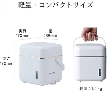 Amazon.co.jp: TWINBIRD(ツインバード) フェイススチーマー コンパクト