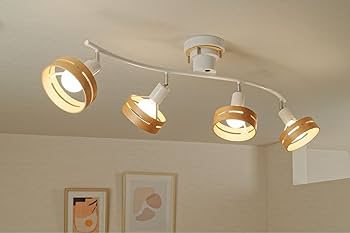 Amazon | インターフォルム シーリングライト LT-5271BK アーチェ