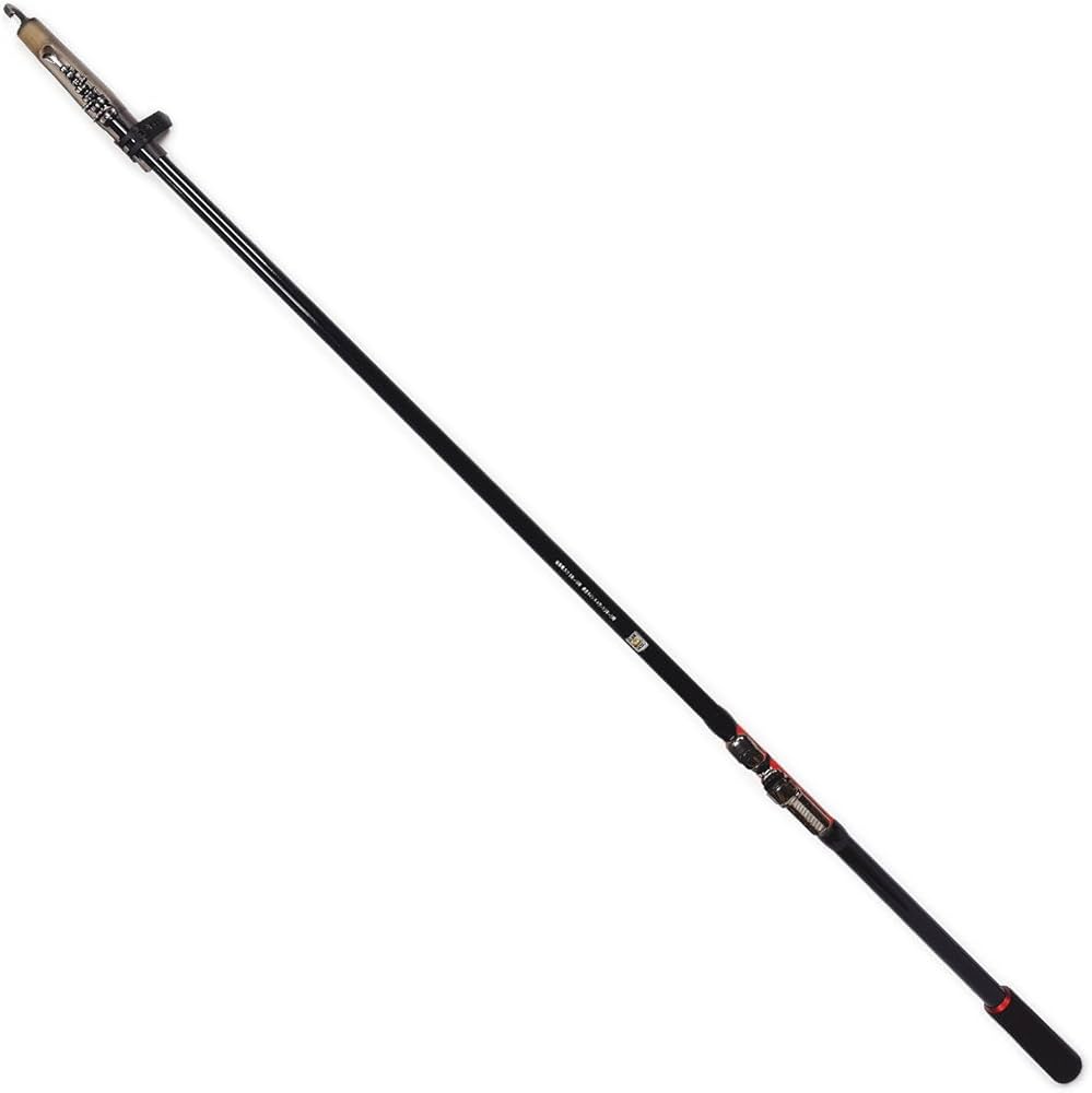 Amazon | RISEWAY(ライズウェイ) ロッド サビキMASTER 360 | ライズ