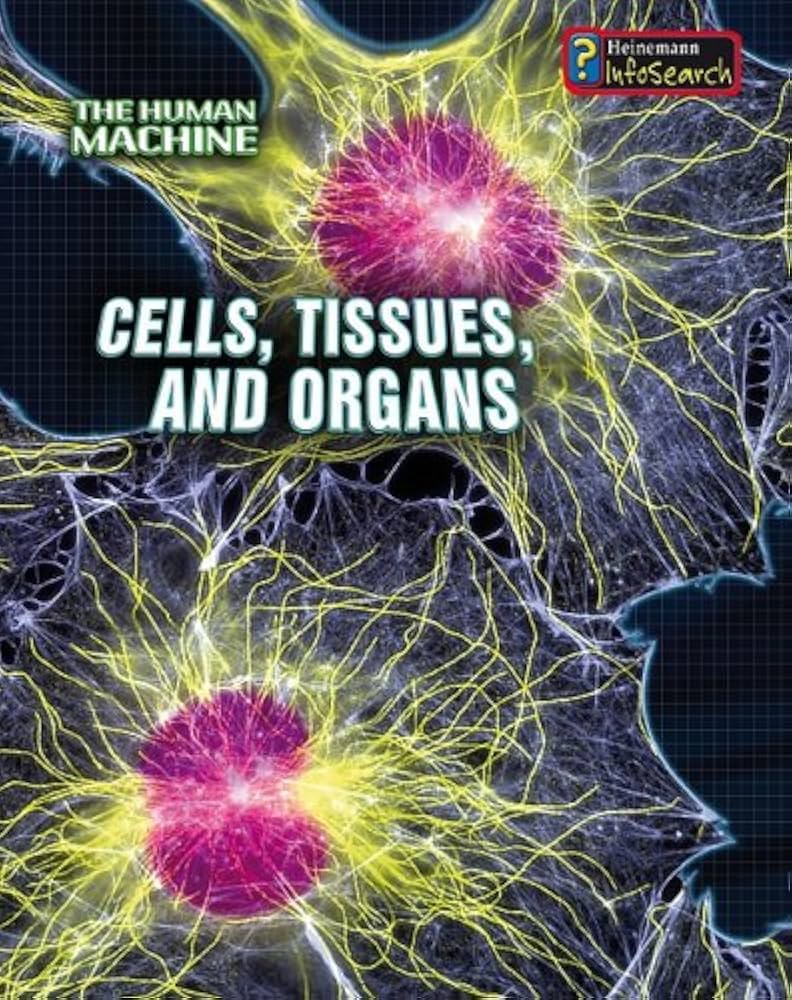 Cells, Tissues, and Organs (The Human Machine): Spilsbury, Richard
