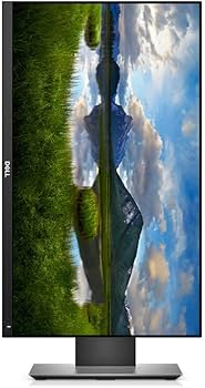 Amazon.com: Dell P2418D 23.8