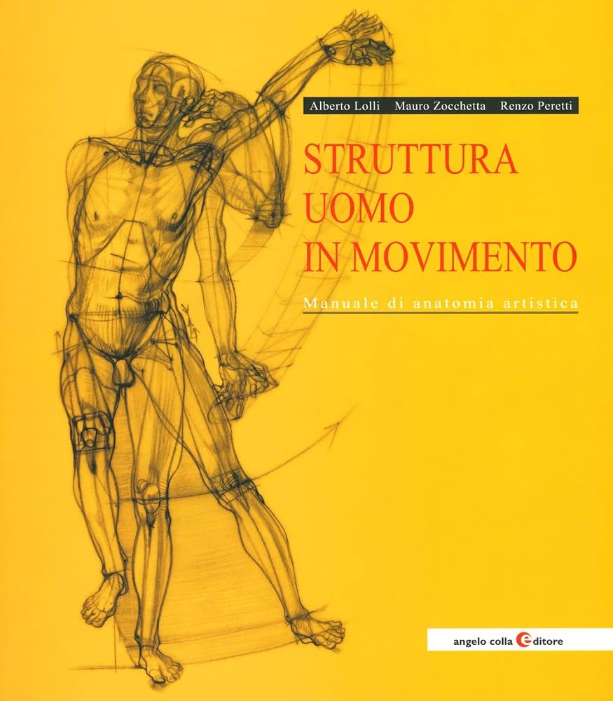 Amazon | Struttura uomo in movimento. Manuale di anatomia