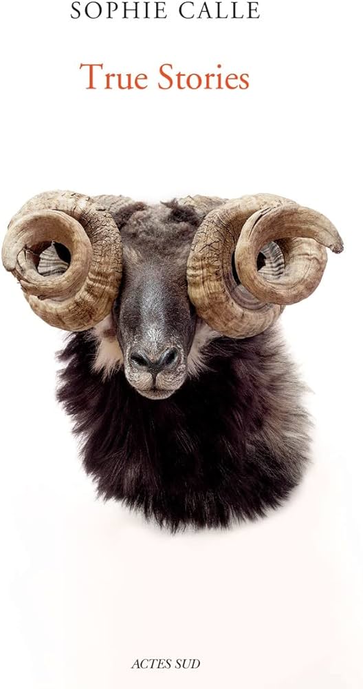 Amazon.com: Sophie Calle: True Stories: Sixth Edition