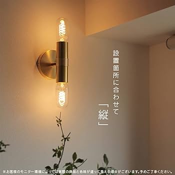 Amazon.co.jp : E26 日本製 ブラケットライト ブラス 真鍮 led電球対応