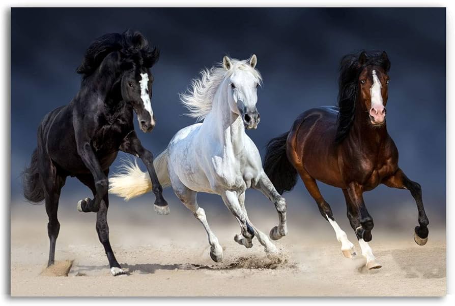 タペストリー アメリカ 天然毛（馬毛） タペストリー アメリカ 天然毛