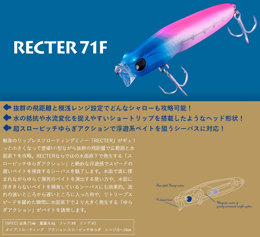 Amazon.co.jp: ポップシークルー(Pop Sea Crew) レクター (RECTER) 71F