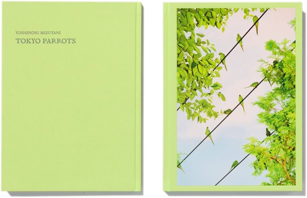 Amazon | TOKYO PARROTS | 水谷吉法, 水谷吉法 | Individual Artists