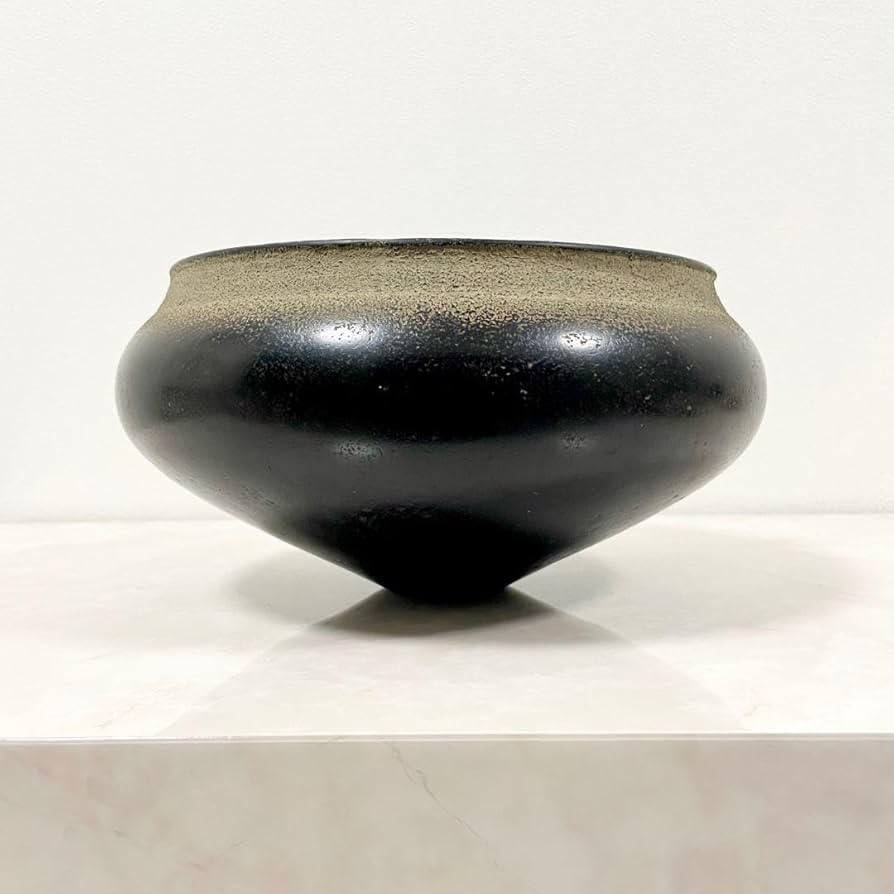 Amazon.co.jp: 安齋賢太 安斎賢太 黒田泰蔵 安藤雅信 三谷龍二 内田鋼