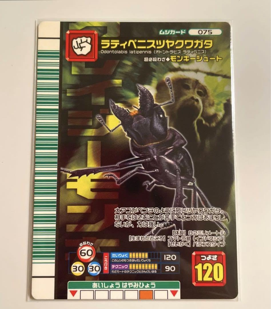 Amazon.co.jp: 甲虫王者ムシキング 2007ファースト ラティペニスツヤ