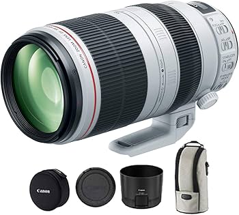 Amazon.com : Canon EF 100-400mm f/4.5-5.6L is II USM Lens