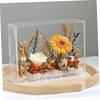 61yeaNgOgaL._AC_UF350,