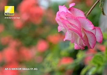 Amazon | Nikon 単焦点レンズ AF-S NIKKOR 50mm f/1.8G フルサイズ対応