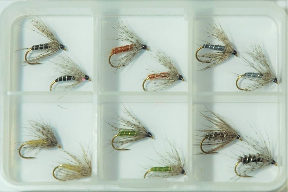 Amazon.co.jp: フライショップの完成フライセット SDセレクション