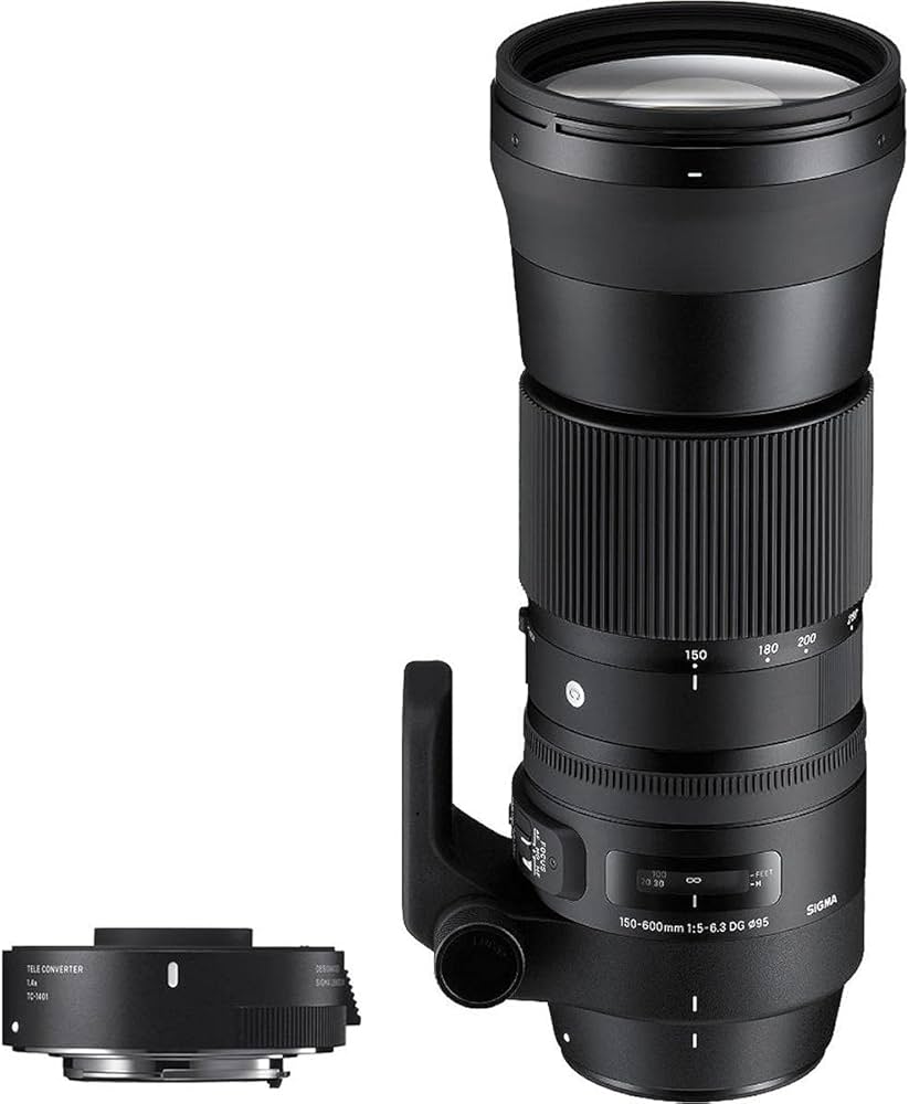 Amazon.co.jp: シグマ(Sigma) レンズ 150-600mm F5-6.3 DG OS HSM