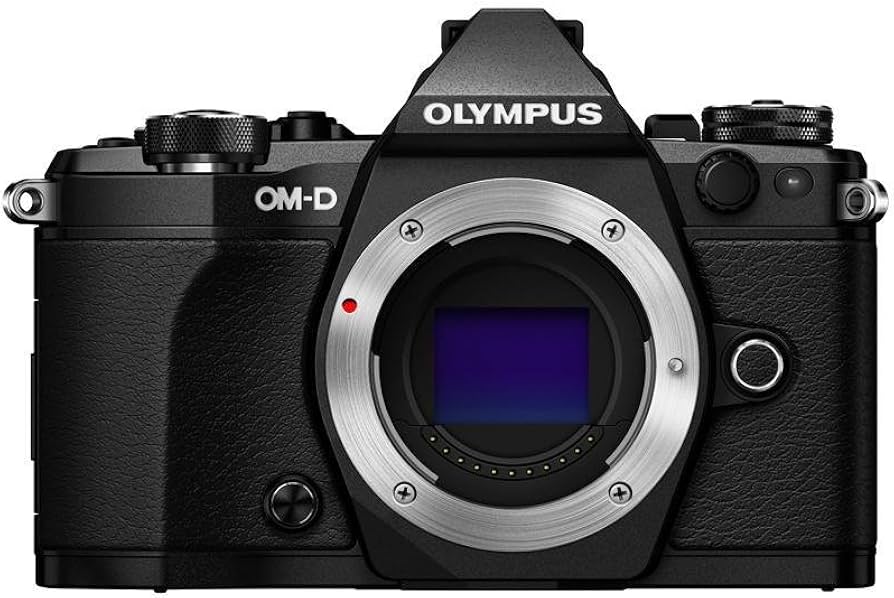 Amazon.com : OM SYSTEM Olympus OM-D E-M5 Mark II (Black) (Body