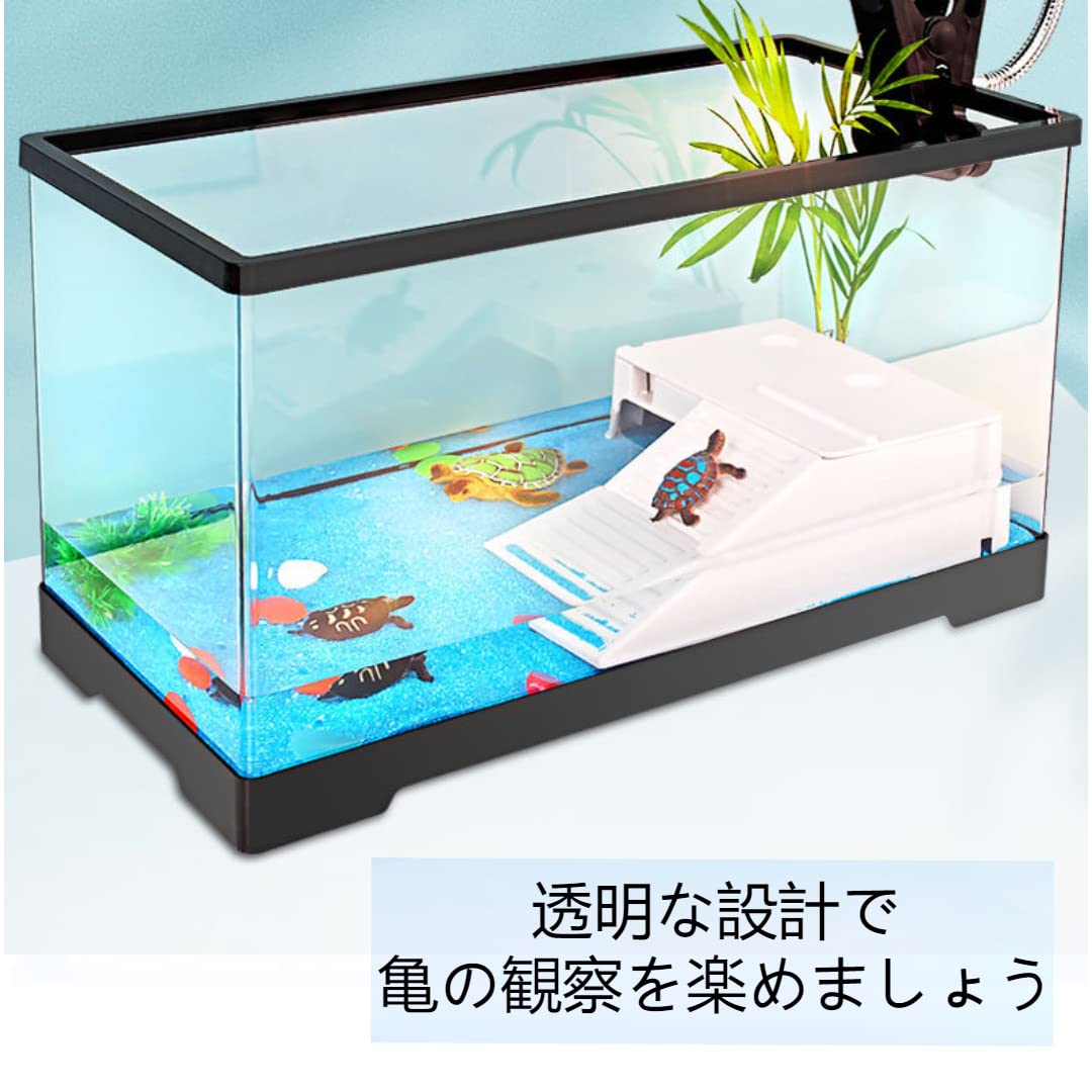 Amazon | 亀用大型タートルタンク アクリル水槽 360度見える 爬虫類