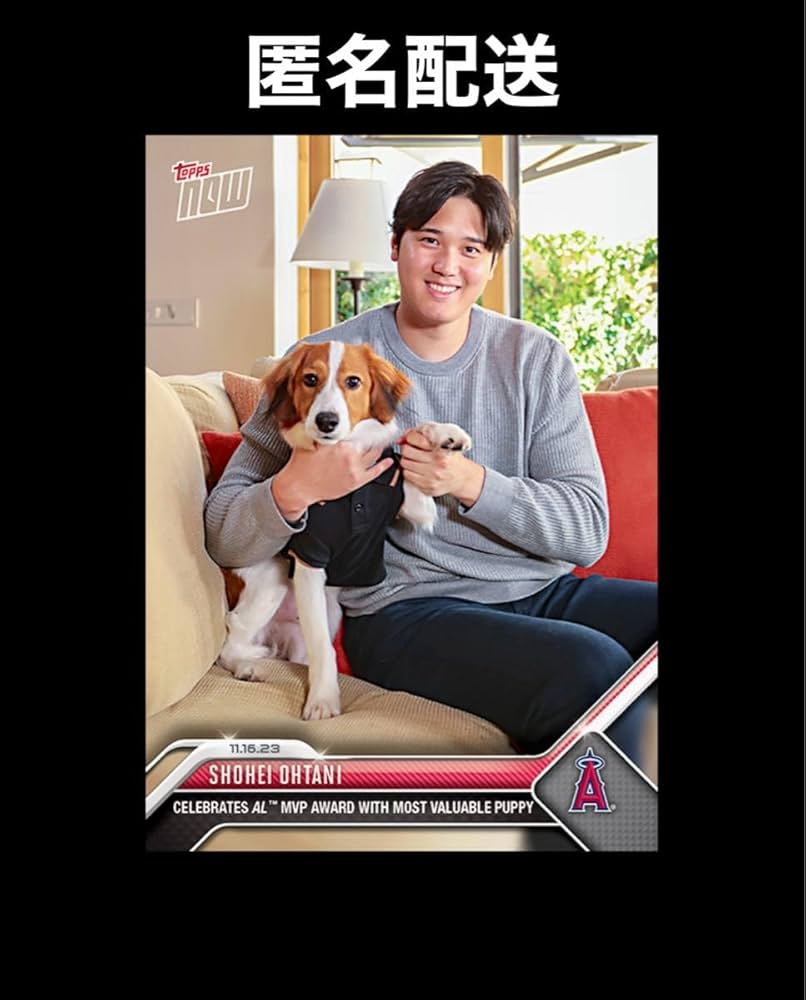 Amazon.co.jp: 大谷翔平 デコピンちゃんとのツーショット MVP記念