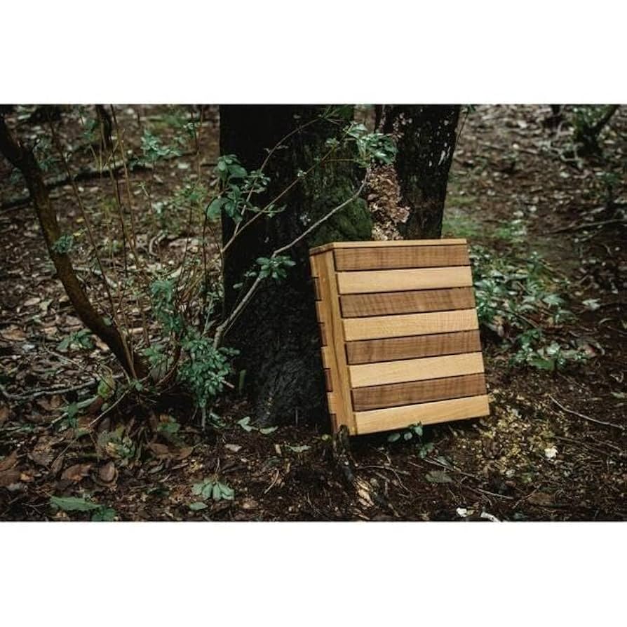 HILLS FIELD 俺のMOKKIN ゼブラ 廃盤 伊豆のぬし釣り HILLS FIELD 俺の