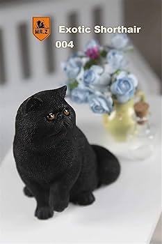 Amazon | Mr.Z 1/6 サイズ エキゾチック・ショートヘア 猫 可愛い 家猫