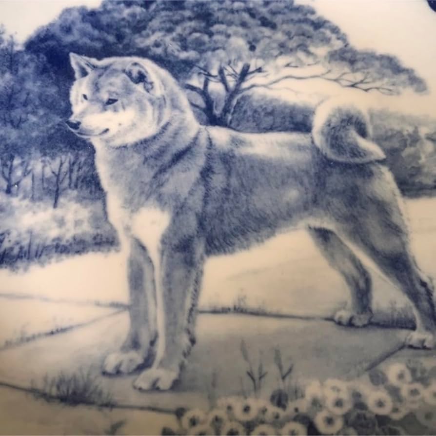 Amazon | 横浜タカラダ柴犬 絵皿 デンマーク製 老舗TAKARADA | ノー