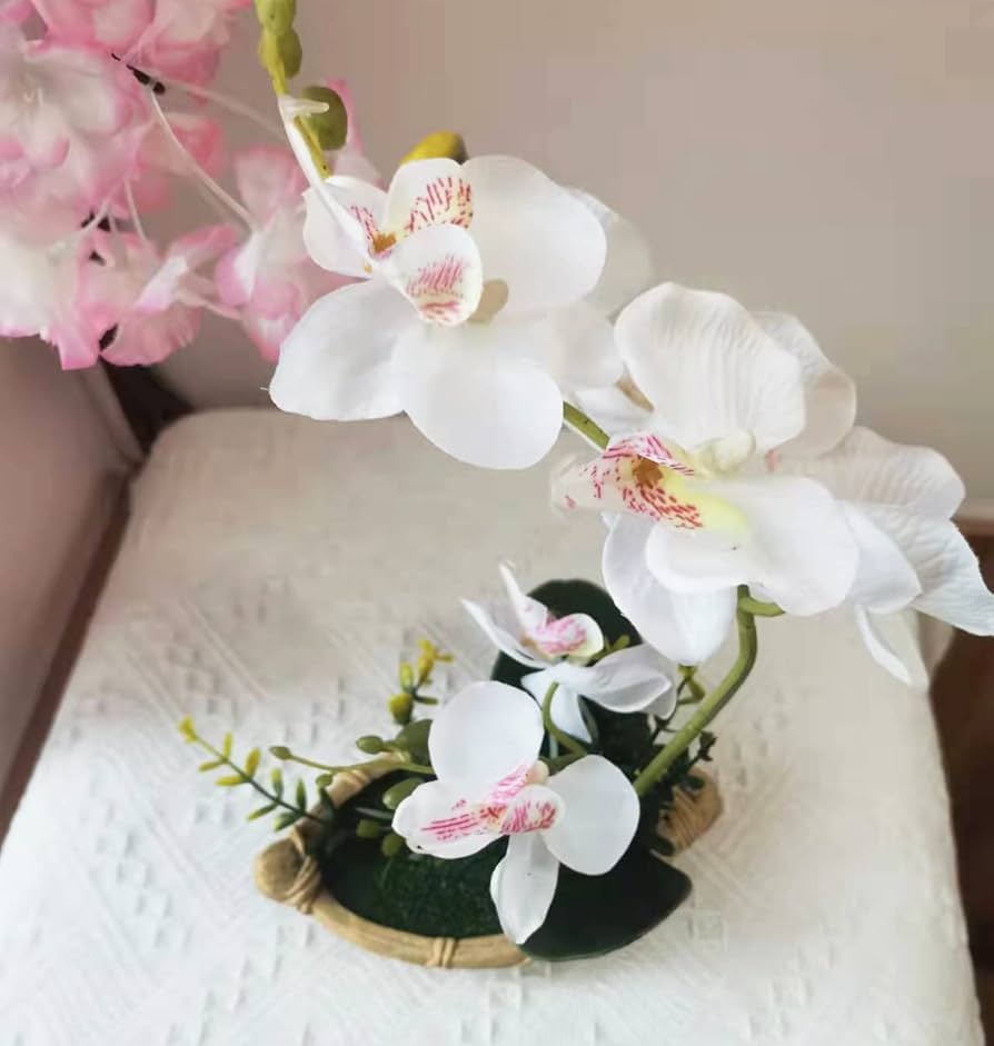 Amazon｜胡蝶蘭 造花 人工観葉植物 光触媒加工 卓上型 船型の鉢植 石鉢